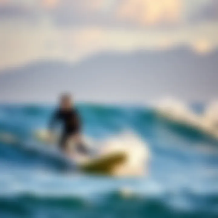 Magnificent Best Surf Lessons in Malibu