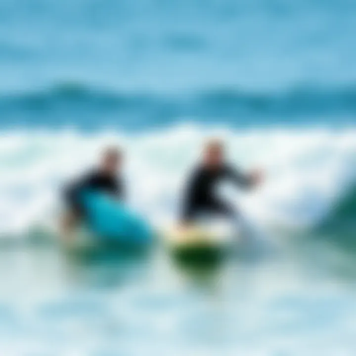Magnificent Comprehensive Guide to Sydney Surf Lessons