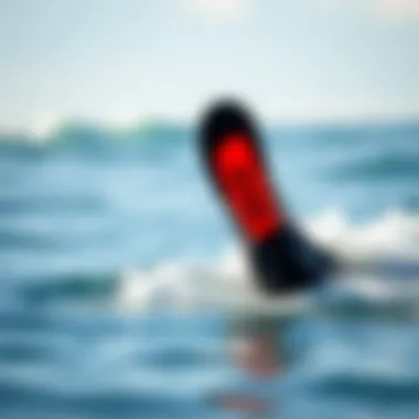 Magnificent Exploring FCS Fins: An In-Depth Analysis for Watersport Enthusiasts Magnificent Exploring FCS Fins: An In-Depth Analysis for Watersport Enthusiasts