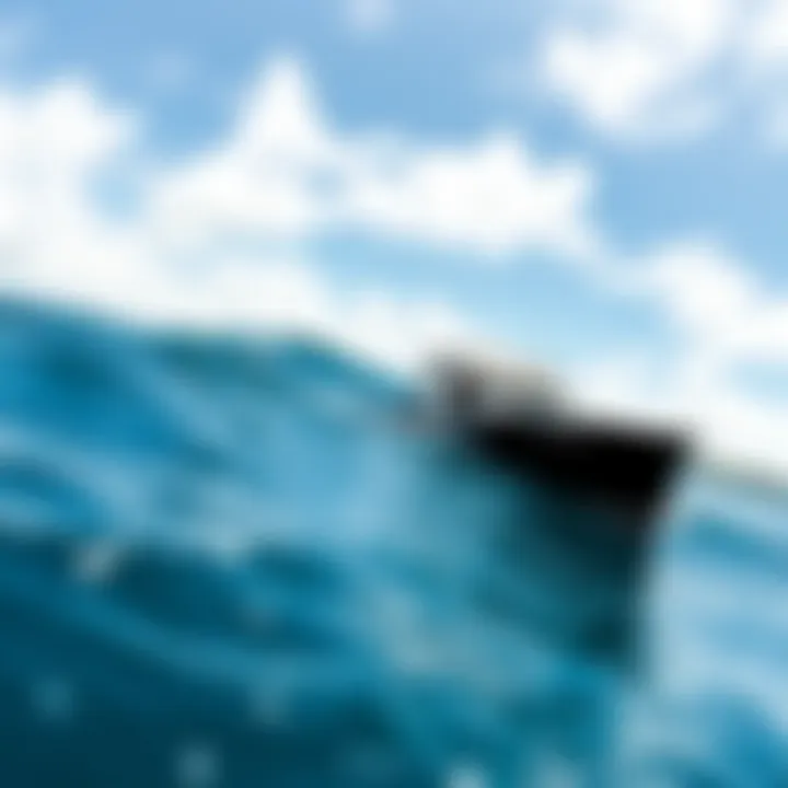 Magnificent Exploring Ocean Ramsey and the Waters of Oahu