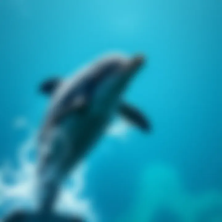 Magnificent Fascinating Insights into Dolphins: Exploring 15 Intriguing Facts