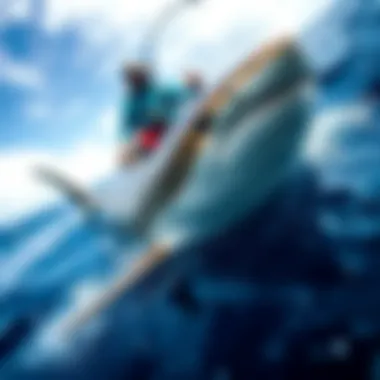 Magnificent Hawaii Shark Tracker: An In-Depth Exploration of Tracking Technology and Marine Safety