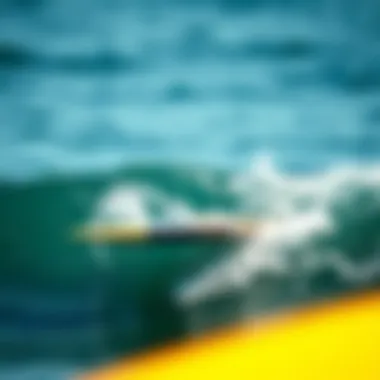 Notable A Comprehensive Exploration of Used Skimboards