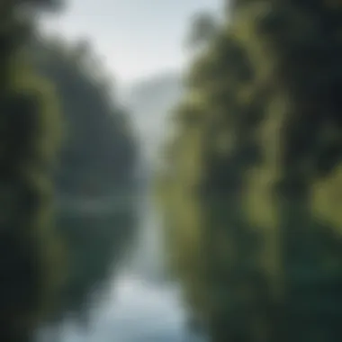 A serene lake with a paddleboarder navigating through calm waters, surrounded by lush greenery.