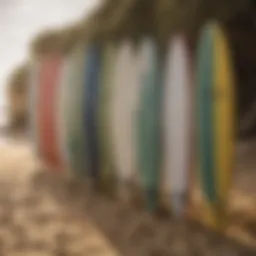 Different types of surfboards lined up on a sandy beach