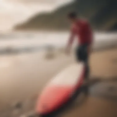 Essential Maintenance Tips for Beginner Surfboards An infographic detailing maintenance tips for beginner surfboards.