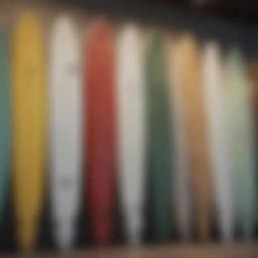 A close-up view of various beginner surfboard types displaying different shapes and sizes.