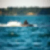 Electric hydrofoil gliding above the water's surface