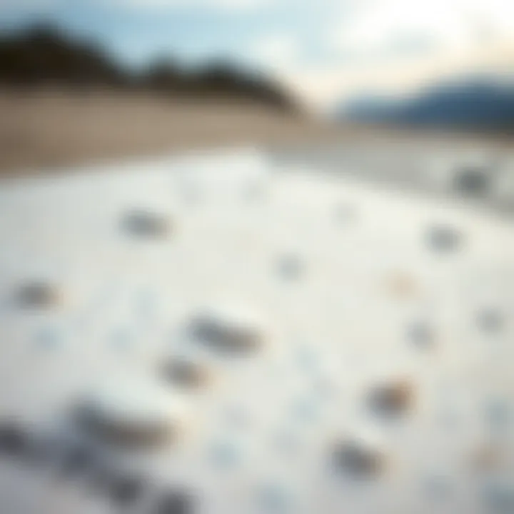 Examining Surface Texture for Performance Close-up of a boogie board's surface texture