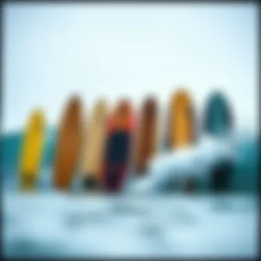 Diverse longboard designs showcasing various shapes and sizes