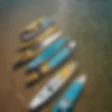 A diverse range of paddle boards showcasing various sizes and shapes.