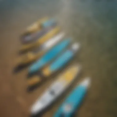 A diverse range of paddle boards showcasing various sizes and shapes.