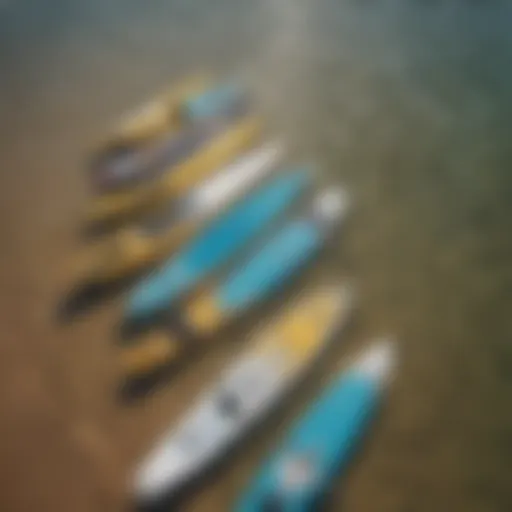 A diverse range of paddle boards showcasing various sizes and shapes.