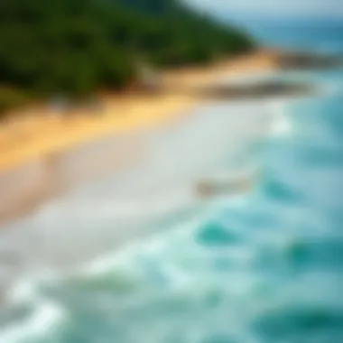 Impact of Environmental Conditions on Board Selection A picturesque shoreline with varying water conditions, highlighting the impact of environment on board choice