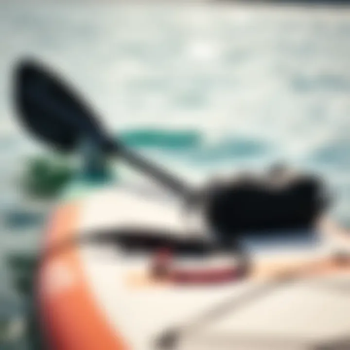 Must-Have Accessories for Paddle Boarders Accessories such as paddle, leash, and waterproof bag