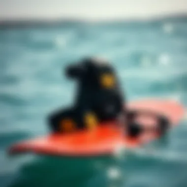 Gear of the Skimboarder A collection of essential skimboarding equipment