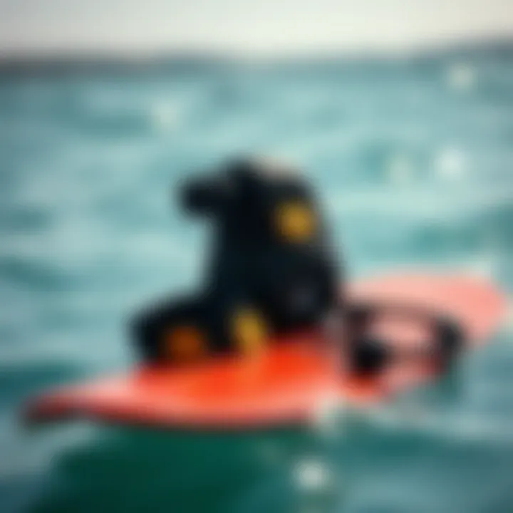 Gear of the Skimboarder A collection of essential skimboarding equipment