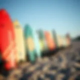 Diverse Range of Budget-Friendly Skimboards A selection of affordable skimboards displayed on a sandy beach