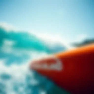 Exploring Beach Brands: A Perspective on Style and Functionality Summary