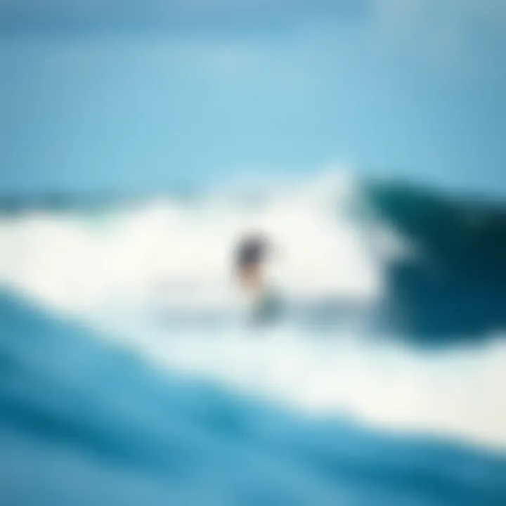Surfer Riding the Waves A surfer riding a powerful wave at a renowned Puerto Rican beach