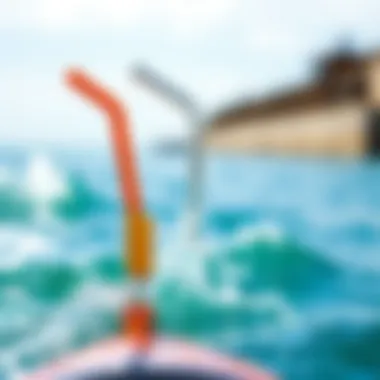 Notable Exploring Corkcicle Straws: Functional Design Meets Aquatic Lifestyle