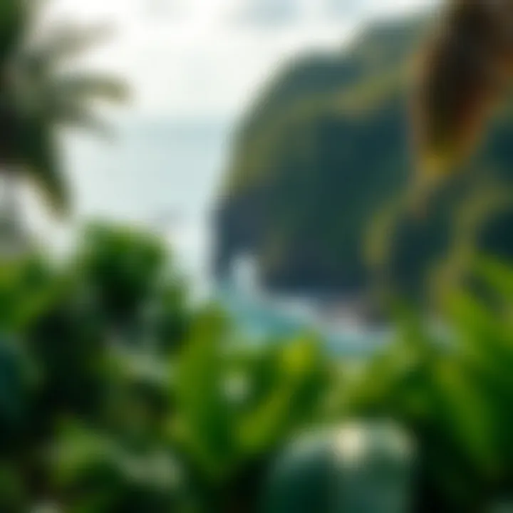 Breathtaking coastal scenery with lush greenery