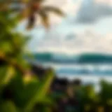 Epic Waves in Costa Rica Epic waves crashing on a pristine beach in Costa Rica