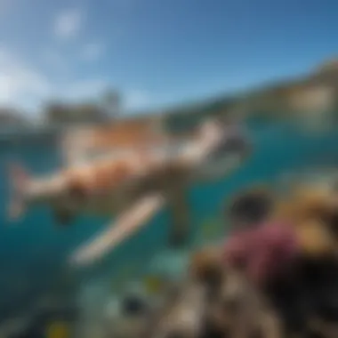 A vibrant underwater scene showcasing diverse marine life near Doheny Waves