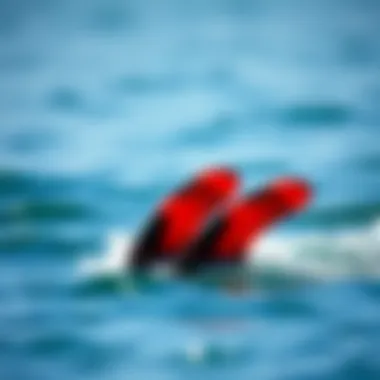 Notable Exploring FCS Fins: An In-Depth Analysis for Watersport Enthusiasts Notable Exploring FCS Fins: An In-Depth Analysis for Watersport Enthusiasts