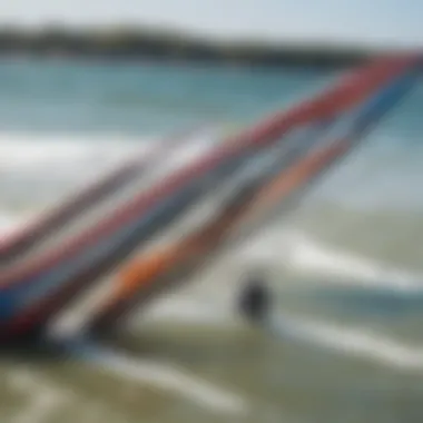 Graphic illustration of the anatomy of a kiteboarding wing highlighting key parts