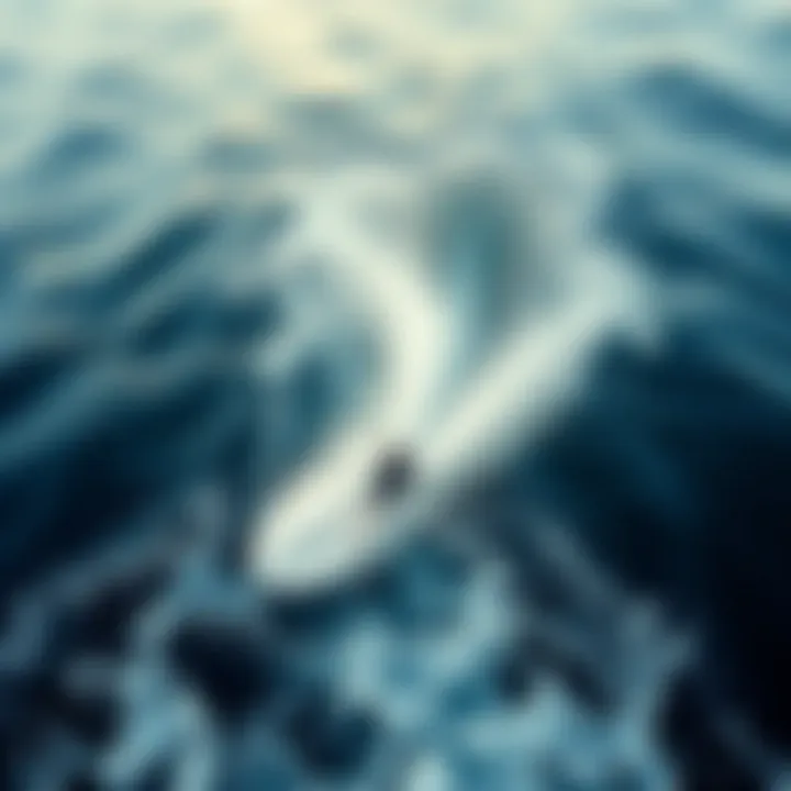 The Dance of Forces in Water Dynamic interaction of liquid forces during water maneuvers