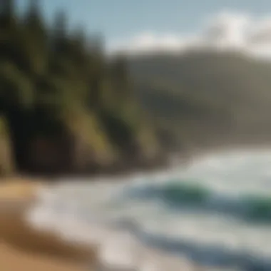 Detailed view of North Shore shoreline with surfers in the water