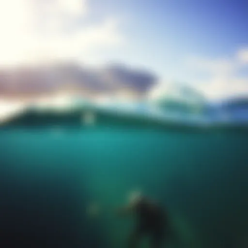Exploring Ocean Ramsey and the Waters of Oahu Introduction
