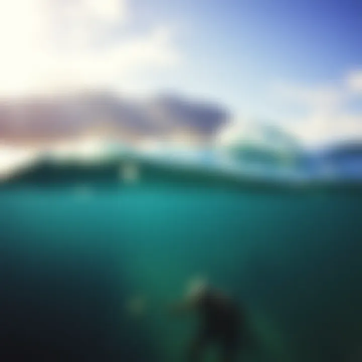 Exploring Ocean Ramsey and the Waters of Oahu Introduction