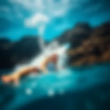 Notable Exploring Ocean Ramsey and the Waters of Oahu