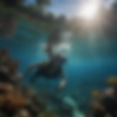 A stunning underwater view highlighting environmental stewardship