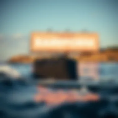 Exploring Rareform Billboard Bags: A Sustainable Choice for Watersports Enthusiasts Introduction