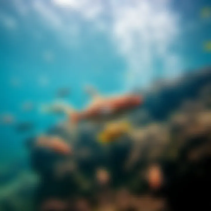 Diverse aquatic species in their natural habitat