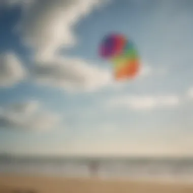 A serene beach scene with kites flying above, emphasizing the joy of kite flying