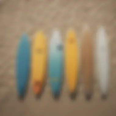 An array of surfboards displayed on the sand, showcasing different types for varying skill levels.