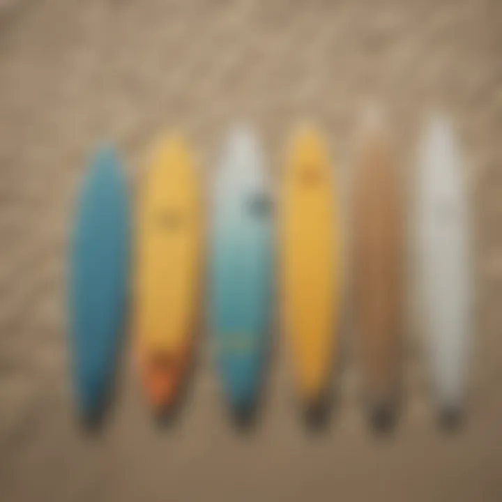 An array of surfboards displayed on the sand, showcasing different types for varying skill levels.