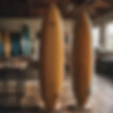 Local Surfboard Craftsmanship Vibrant surfboard display showcasing local craftsmanship