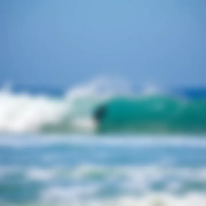 Exploring Surfing: A Comprehensive Guide to Learning Surfing Near You Summary