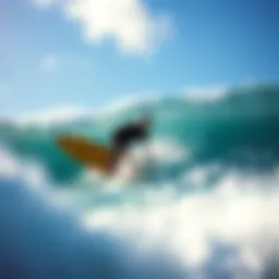 Exploring Surfing Brands: A Comprehensive Guide Introduction