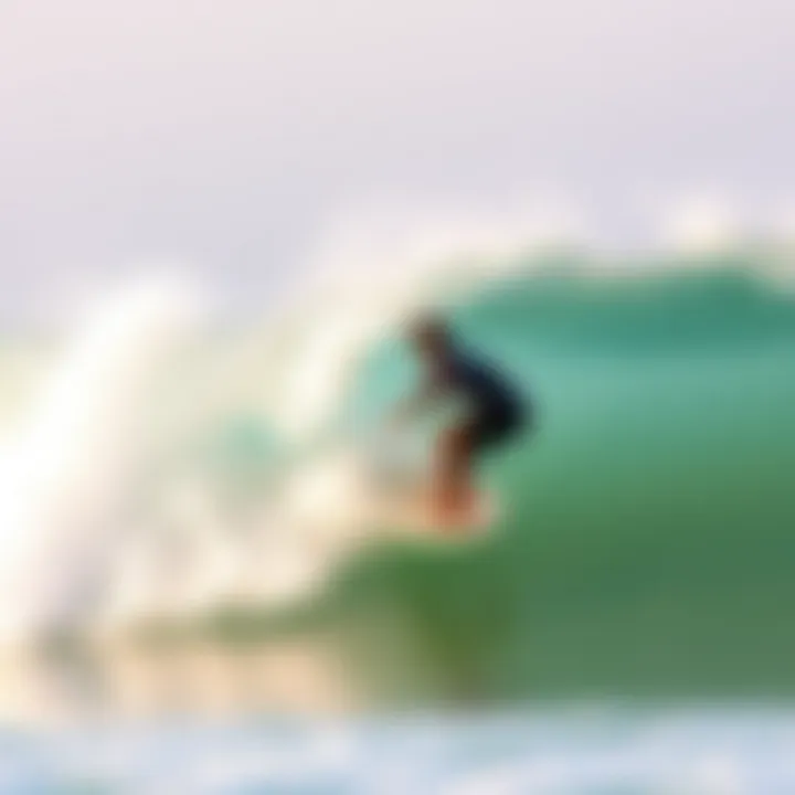 Exploring Surfline Cowells: A Comprehensive Guide for Watersports Enthusiasts Summary