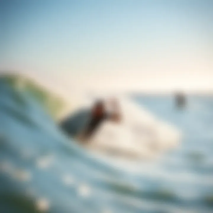 Surfers Riding the Waves at Windansea Local surfers enjoying the waves at Windansea Beach