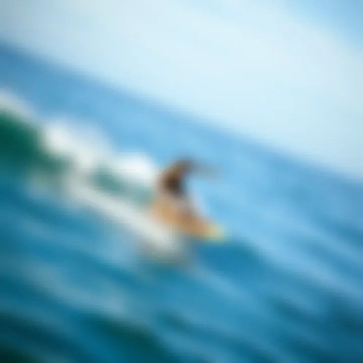 Dynamic longboard rider cruising along the coast