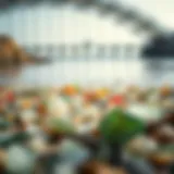 Exploring the Allure of Sea Glass Beaches in California Introduction
