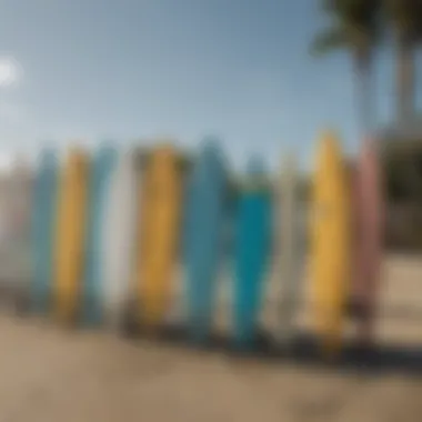 Surfboards lined up on the shore ready for use