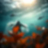 Exploring the Depths: An Insight into Ocean Conservation Through Quotes Introduction